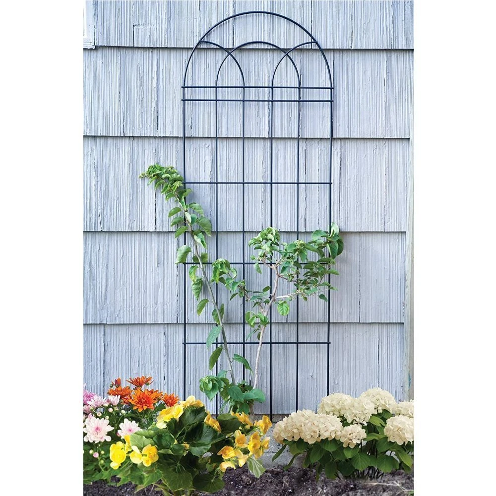 Panacea 182cm Black Trellis 2 Panacea 182cm Black Trellis - Image 2