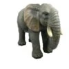 Vivid Arts 55cm Elephant Resin - XRL-ELPH-A