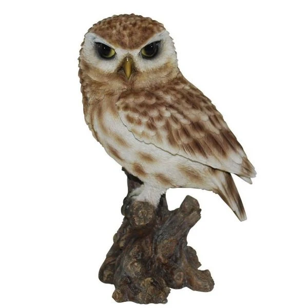 Vivid Arts 22cm Little Owl - XRL-LTWL-D 1 Vivid Arts 22cm Little Owl - XRL-LTWL-D