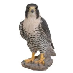 Vivid Arts 25cm Peregrine Falcon - XRL-PFAL-B