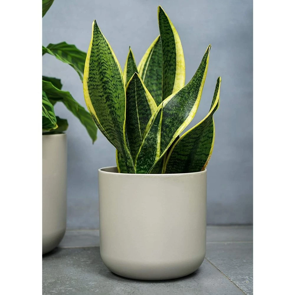 Ivyline 18.5cm White Lisbon Planter 2 Ivyline 18.5cm White Lisbon Planter - Image 2