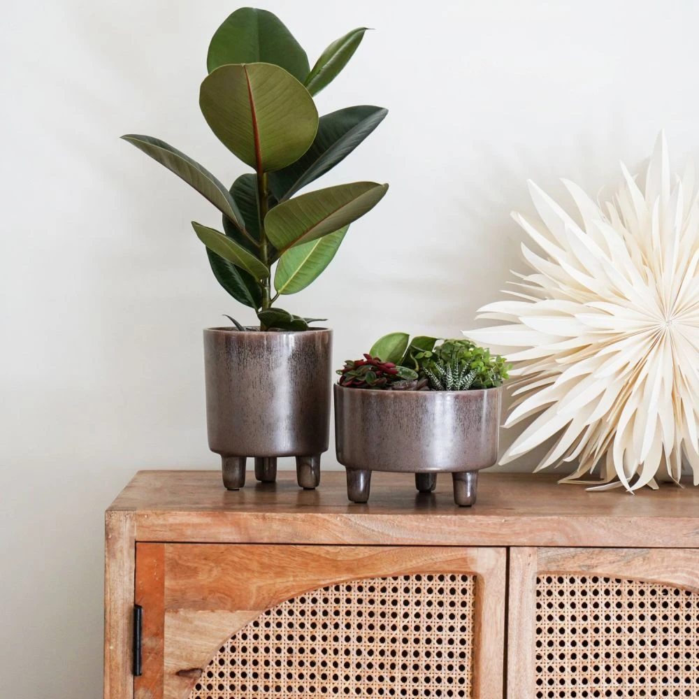 Ivyline 19cm Mocha Pisa Bowl Indoor Houseplant Pot 3 Ivyline 19cm Mocha Pisa Bowl Indoor Houseplant Pot - Image 3