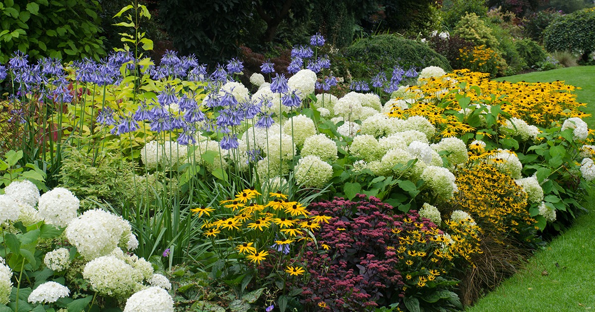 Hozel Garden Shop -Hozel Garden Shop perenner article